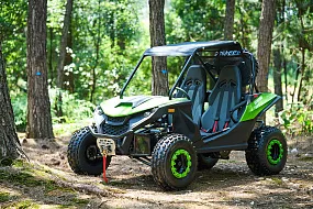 Багги UTV PROMAX Ranger 250