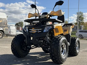 Квадроцикл PROMAX WILD 2.0 190 PRO (STANDOFF) Квадроцикл PROMAX WILD 2.0 190 PRO (STANDOFF)