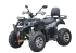 Квадроцикл RMOTO LION X 200 Квадроцикл RMOTO LION X 200