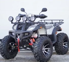 Квадроцикл STALKER 250 Premium